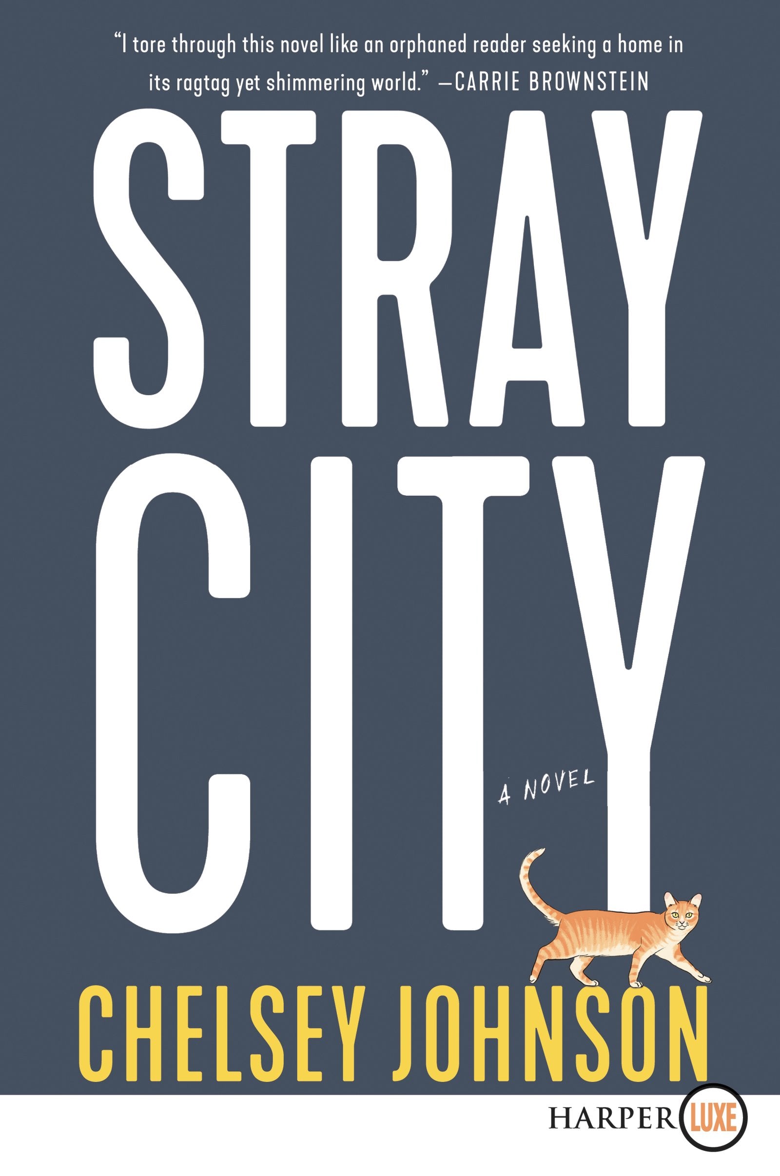 Stray City: A Novel