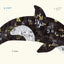 Ocean Animals (Multilingual Board Book) (Words of the World Series)