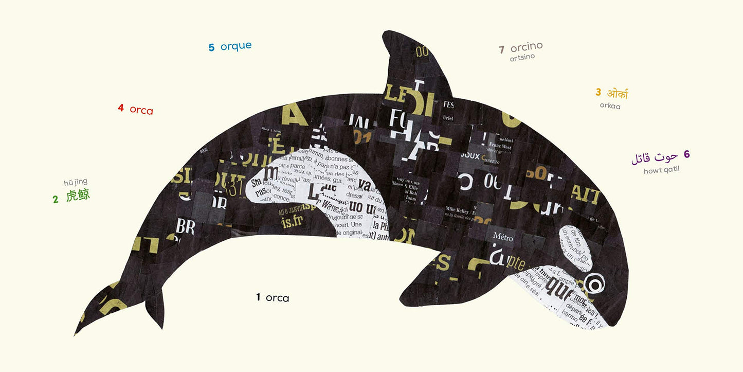 Ocean Animals (Multilingual Board Book) (Words of the World Series)