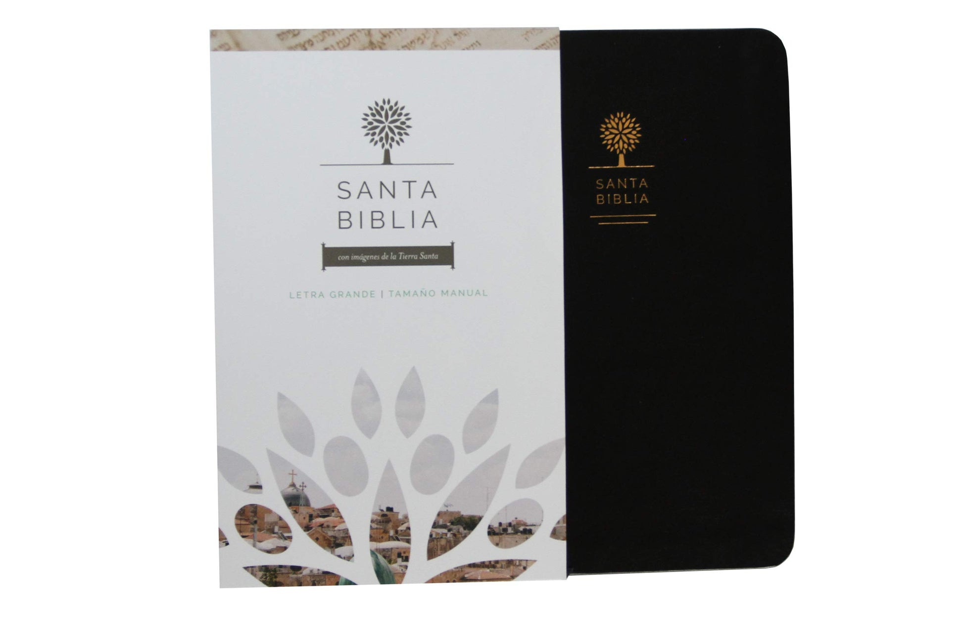 Biblia Reina Valera 1960 letra grande. Símil piel color negro, tamao manual / Spanish Holy Bible RVR 1960. Handy Size, Large Print, Black Leathersoft (Spanish Edition)