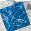 Going Trans-European: Planning and Financing Transport Networks for Europe