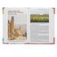 Ultimate Guide to the Holy Land: Hundreds of Full-Color Photos, Maps, Charts, and Reconstructions of the Bible Lands
