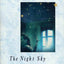 The Night Sky: A Novel