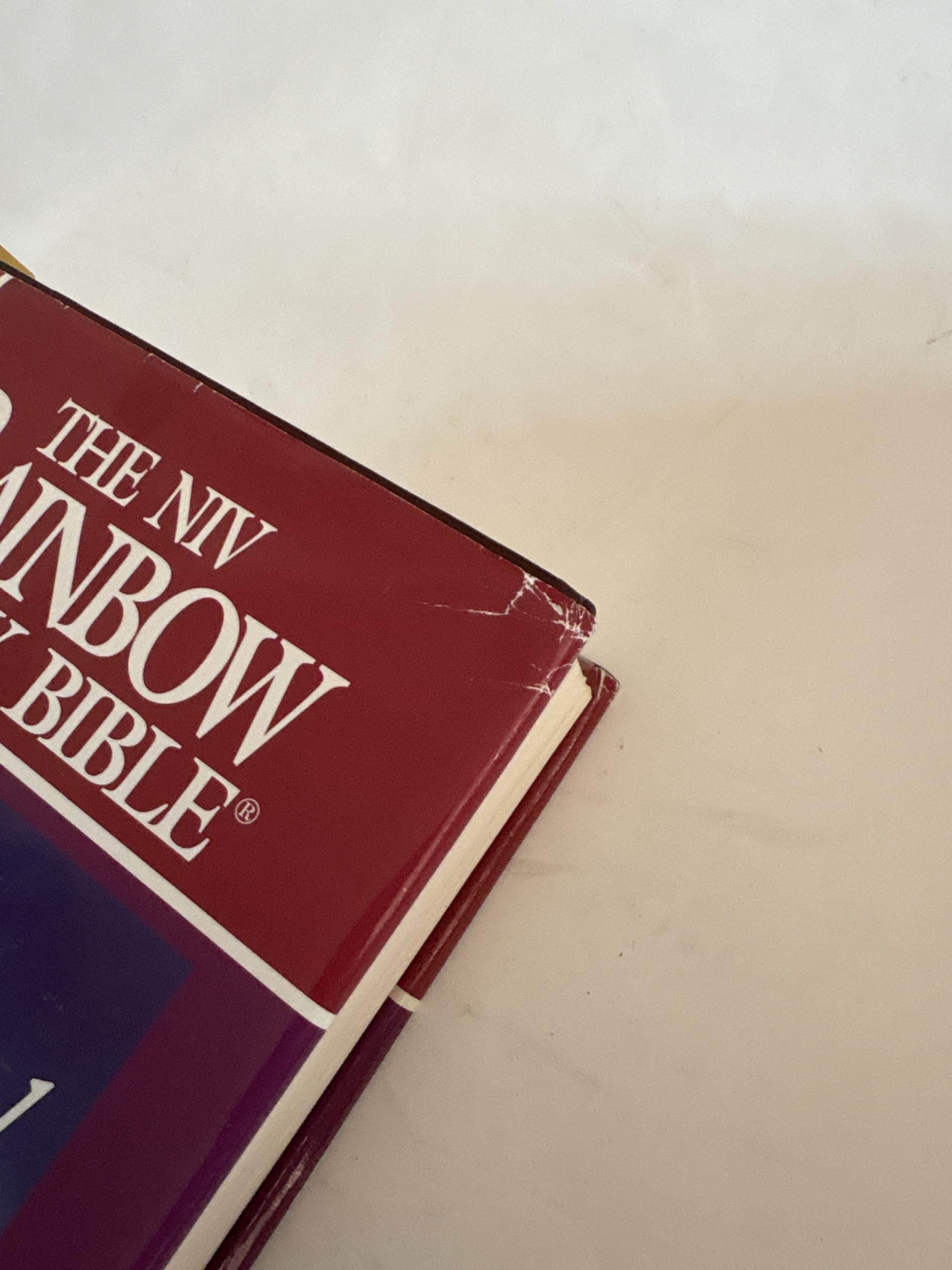 New International Version Rainbow Study Bible/Burgundy