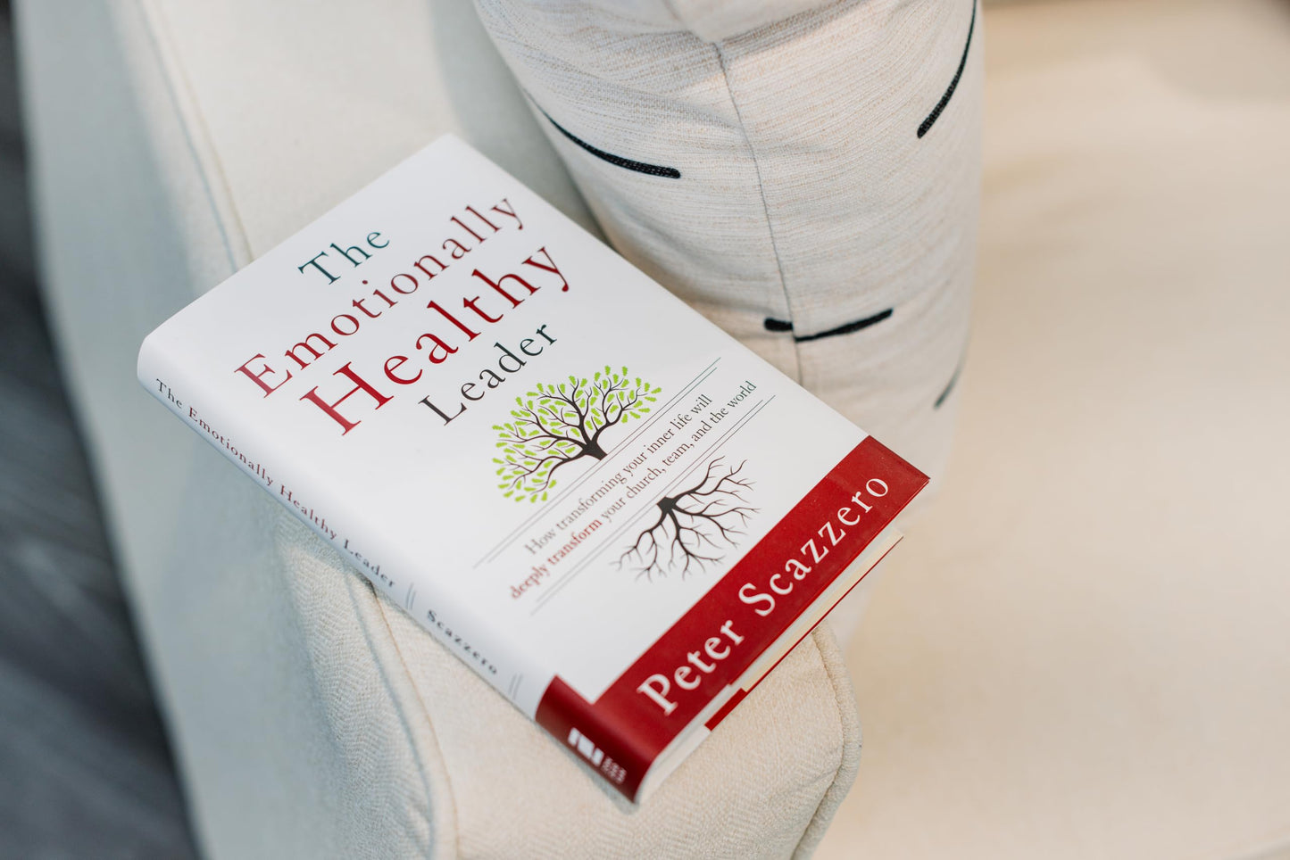 The Emotionally Healthy Leader: How Transforming Your Inner Life Will Deeply Transform Your Church, Team, and the World