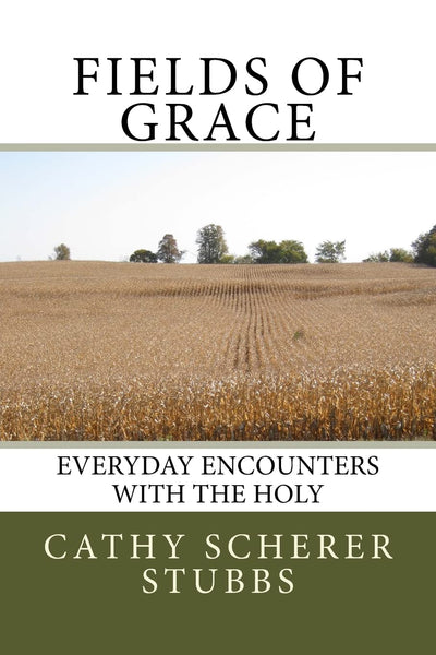 Fields of Grace: everyday encounters with the Holy