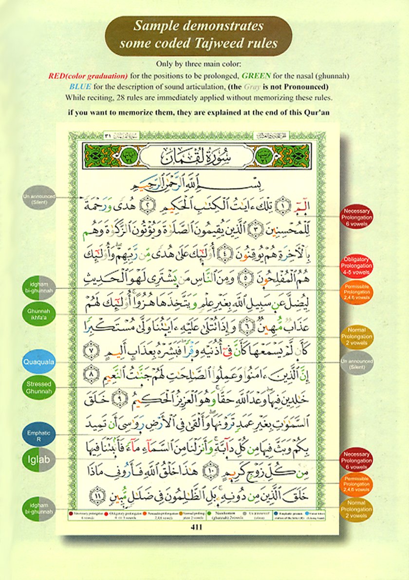 Tajweed Qur'an (Whole Qur an, With English Translation)