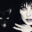 ELVIRA MISTRESS OF THE DARK PHOTO BIOGRAPHY HC