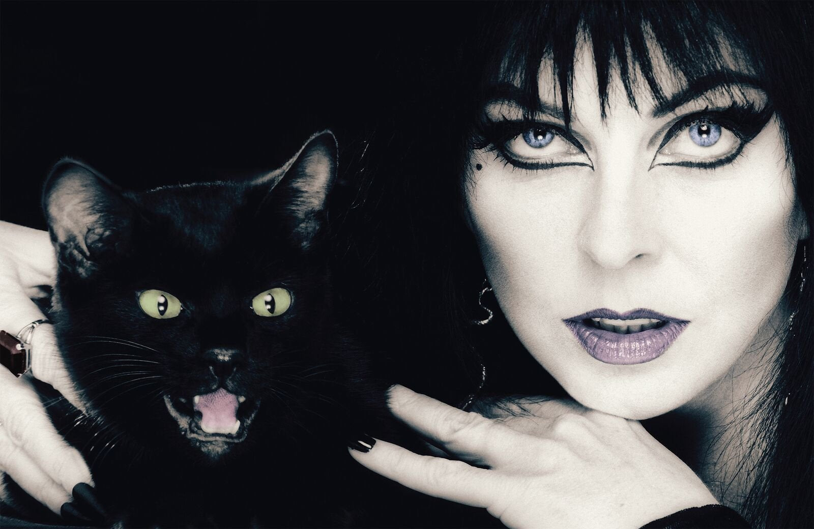 ELVIRA MISTRESS OF THE DARK PHOTO BIOGRAPHY HC