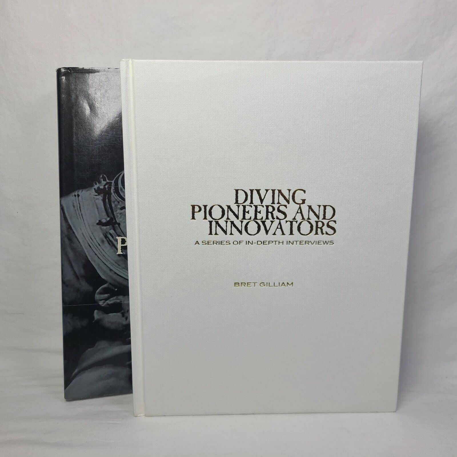 Diving Pioneers and Innovators: A Series of In-depth Interviews