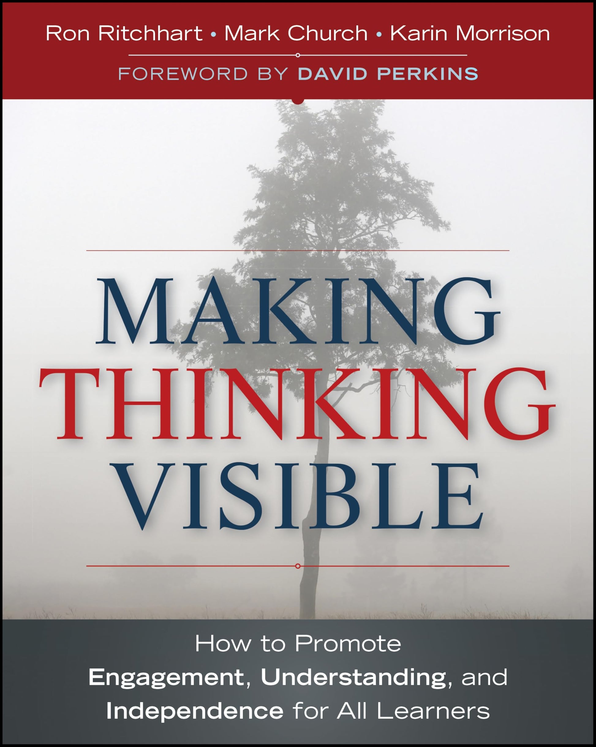 Making Thinking Visible: How to Promote Engagement, Understanding, and Independence for All Learners (Jossey-Bass Teacher)