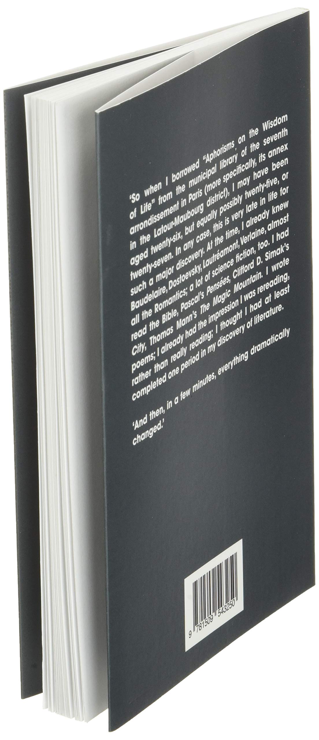 In the Presence of Schopenhauer