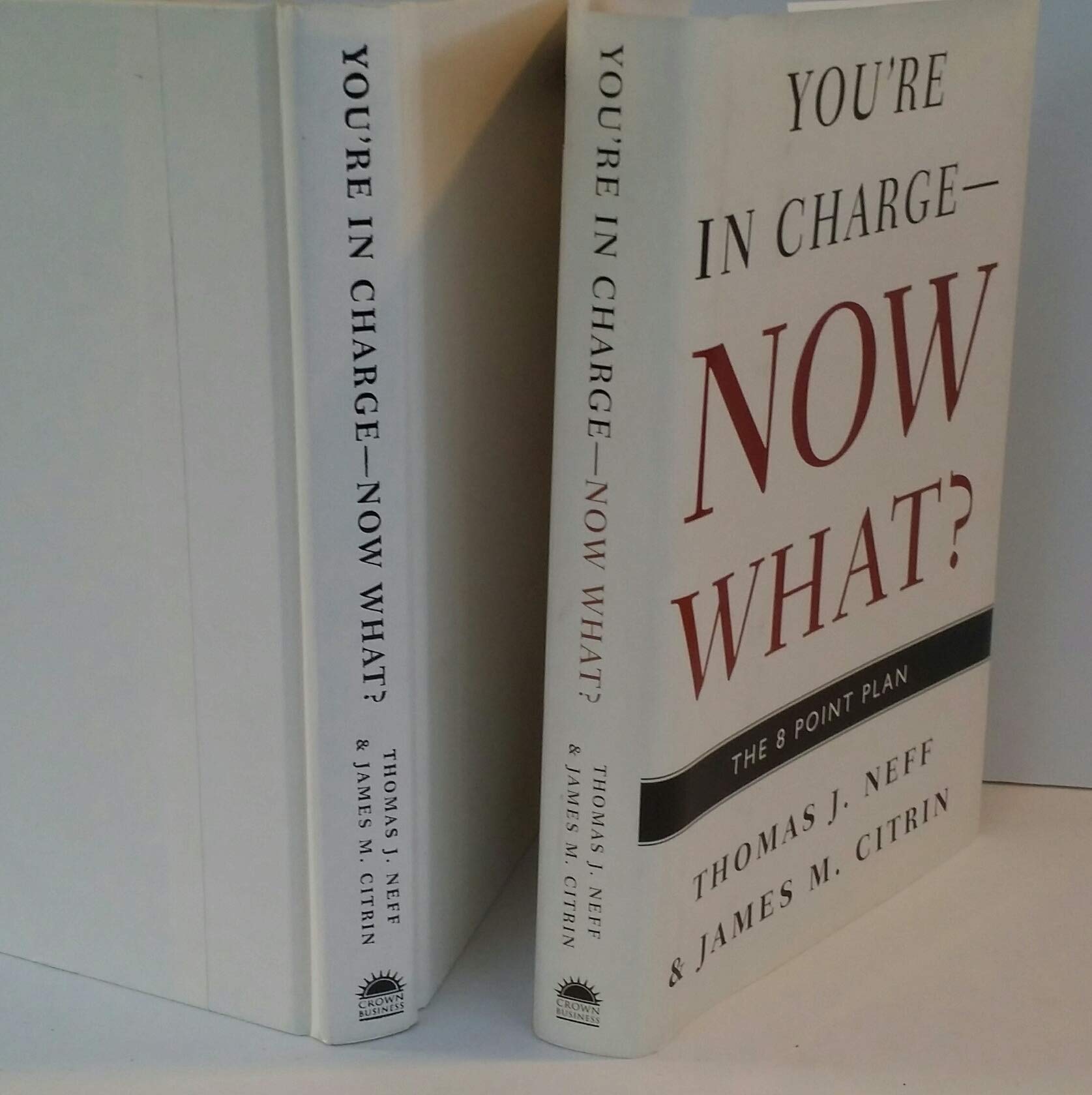 You're in Charge--Now What?: The 8 Point Plan