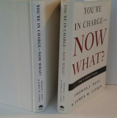 You're in Charge--Now What?: The 8 Point Plan