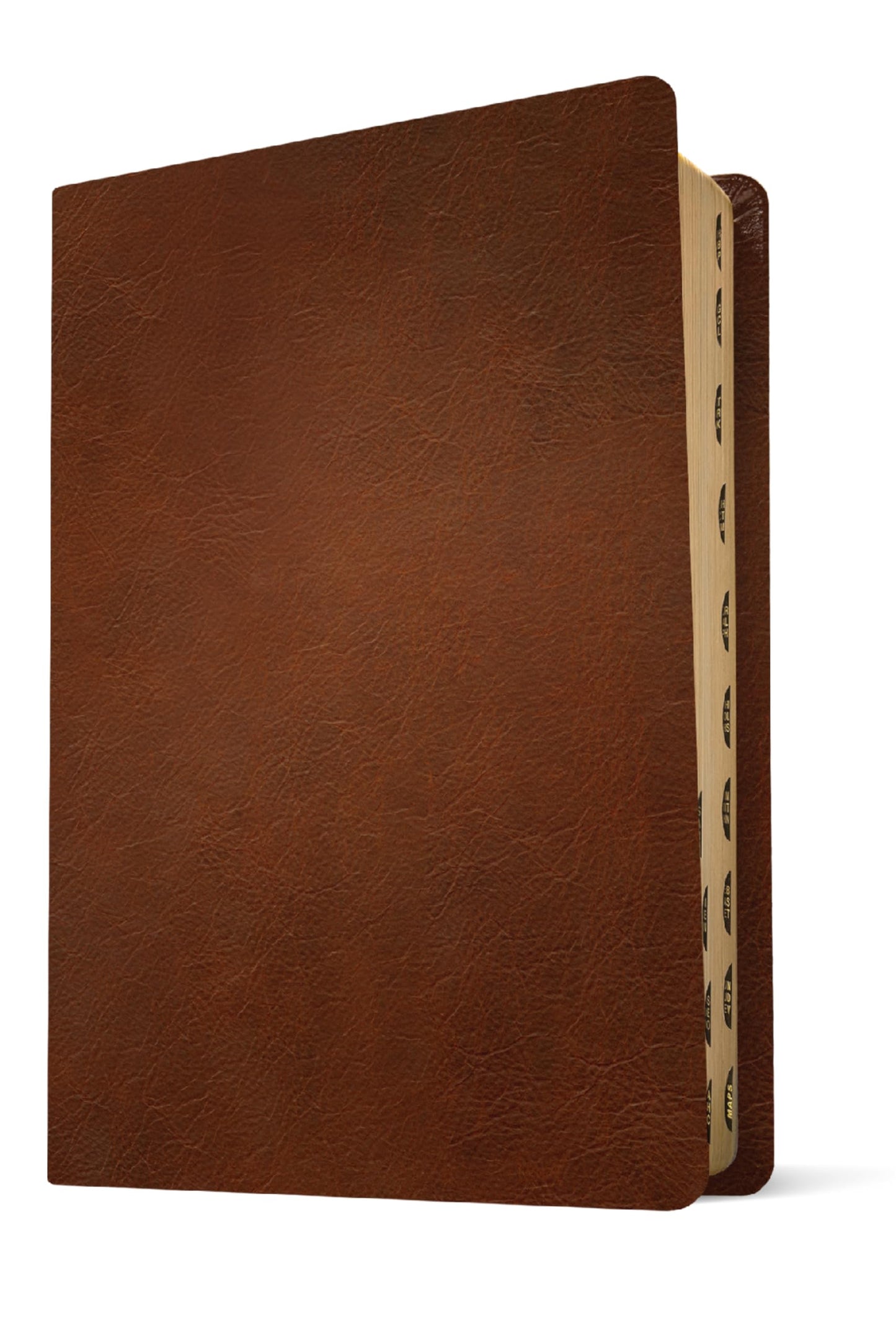 NLT Personal Size Giant Print Bible, Filament Enabled (Genuine Leather, Brown, Indexed, Red Letter): Includes Free Access to the Filament Bible App ... Notes, Devotionals, Worship Music, and Video