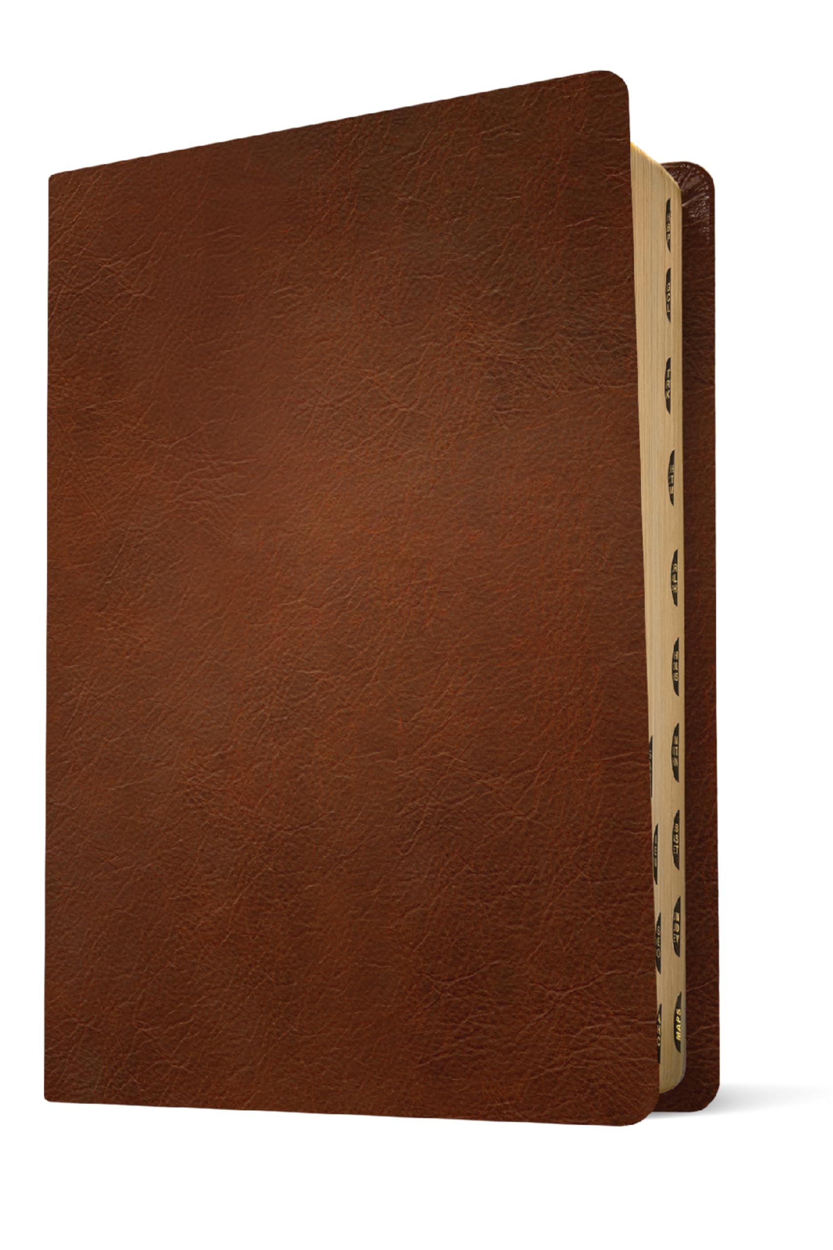 NLT Personal Size Giant Print Bible, Filament Enabled (Genuine Leather, Brown, Indexed, Red Letter): Includes Free Access to the Filament Bible App ... Notes, Devotionals, Worship Music, and Video