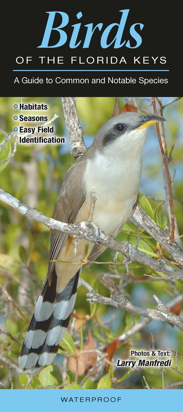 Birds of the Florida Keys: A Guide to Common & Notable Species
