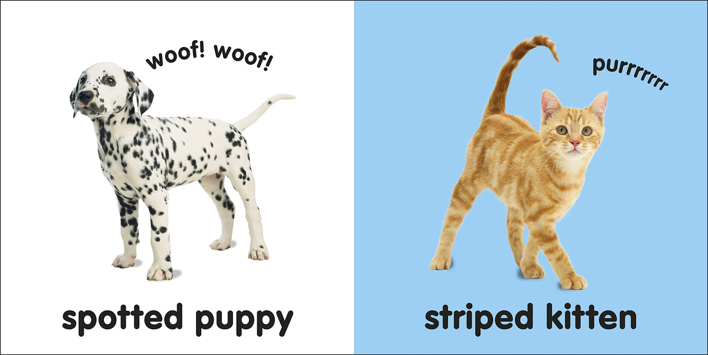 Baby Touch and Feel: Puppies and Kittens