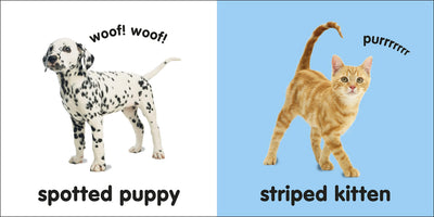 Baby Touch and Feel: Puppies and Kittens