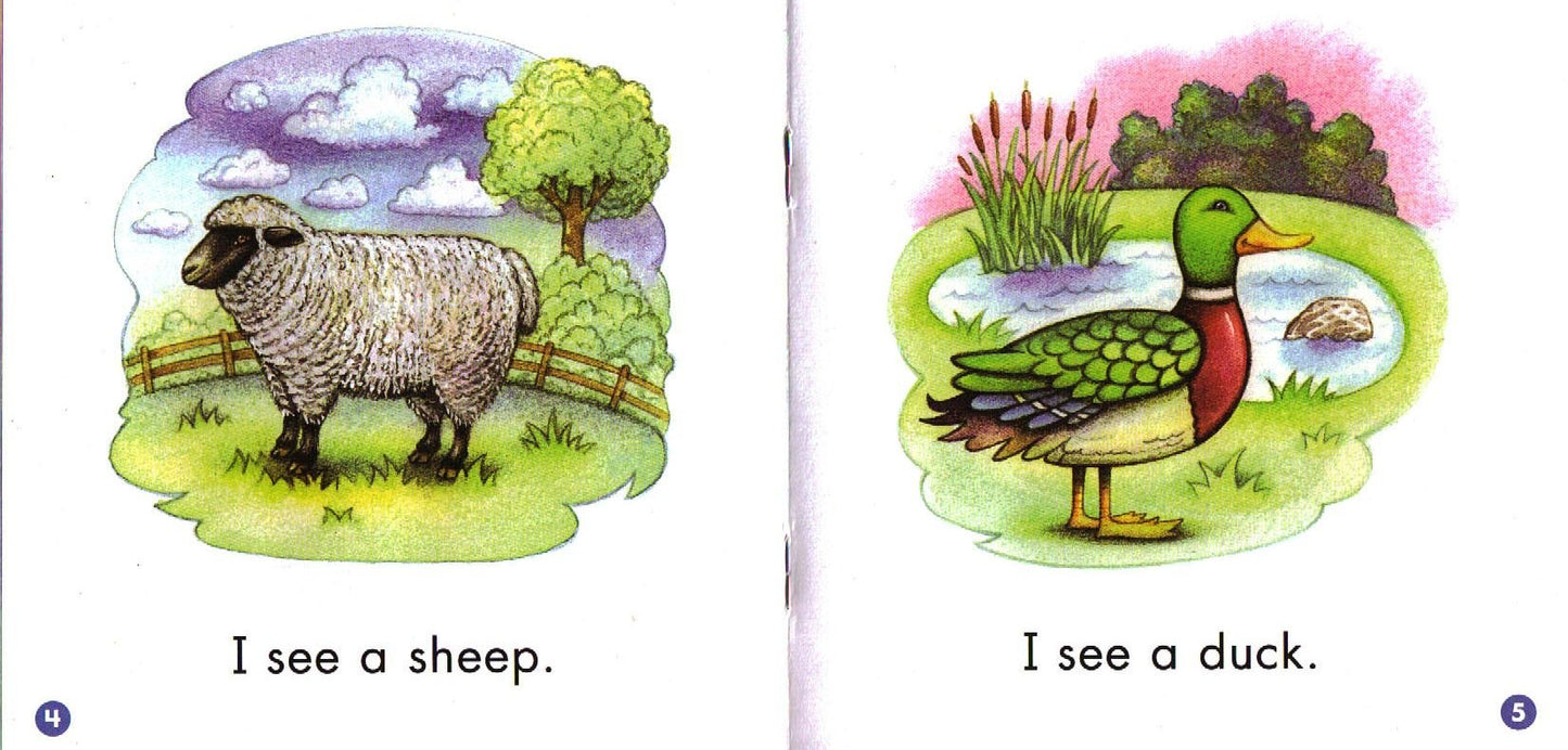 25 Illustrated Sight Word Readers Phonics Teaching Suppl