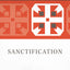 Sanctification (2) (New Studies in Dogmatics)