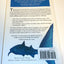 The Shark's Paintbrush: Biomimicry and How Nature Is Inspiri