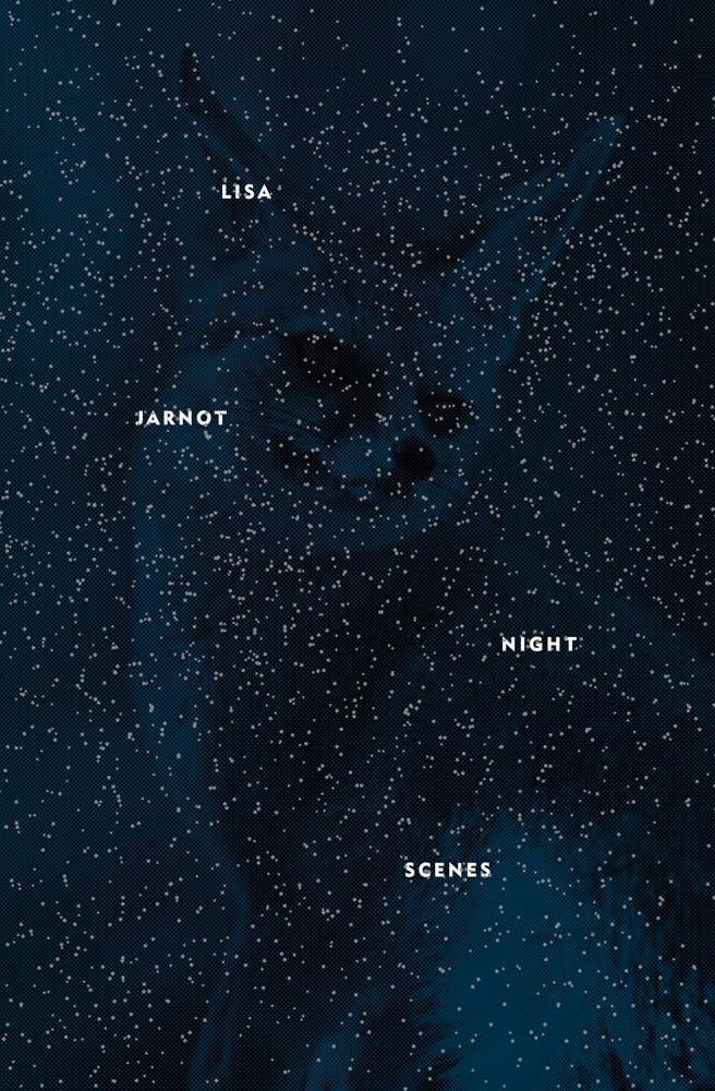 Night Scenes (Flood Editions)