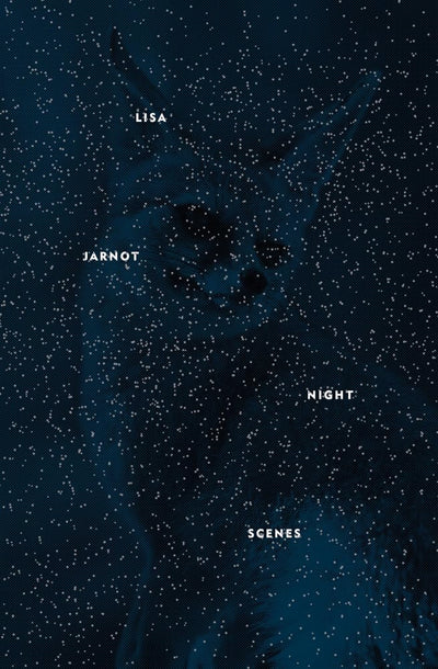 Night Scenes (Flood Editions)