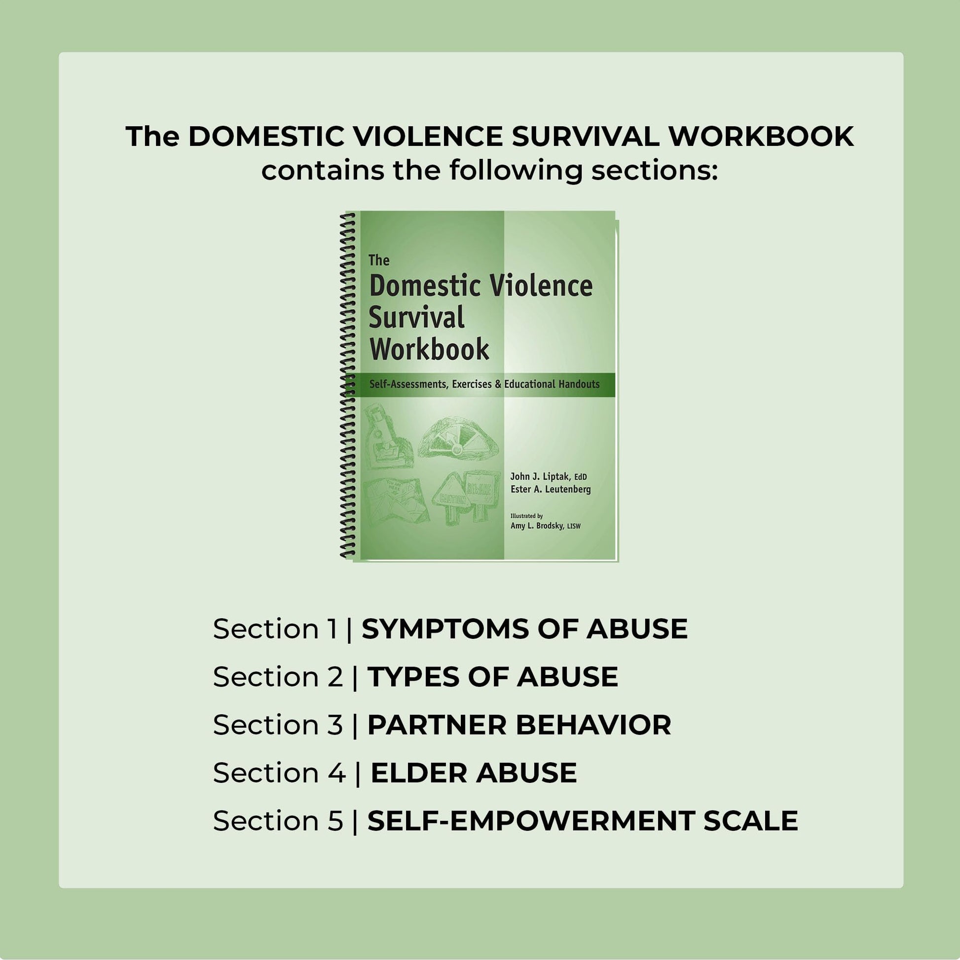 The Domestic Violence Survival Workbook - Self-Assessments, Exercises & Educational Handouts (Mental Health & Life Skills Workbook Series)