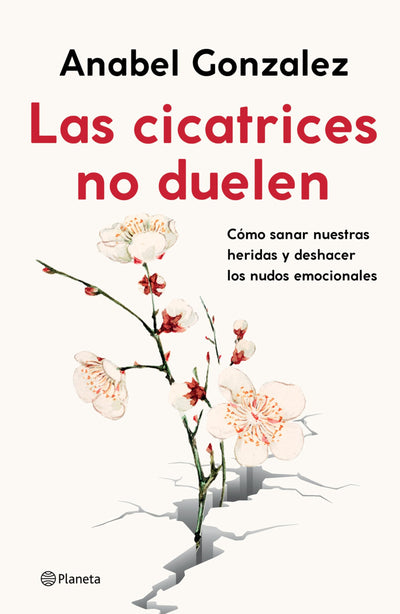 Las cicatrices no duelen: Como sanar nuestras heridas y deshacer los nudos emocionales / Wounds don't hurt (Spanish Edition)