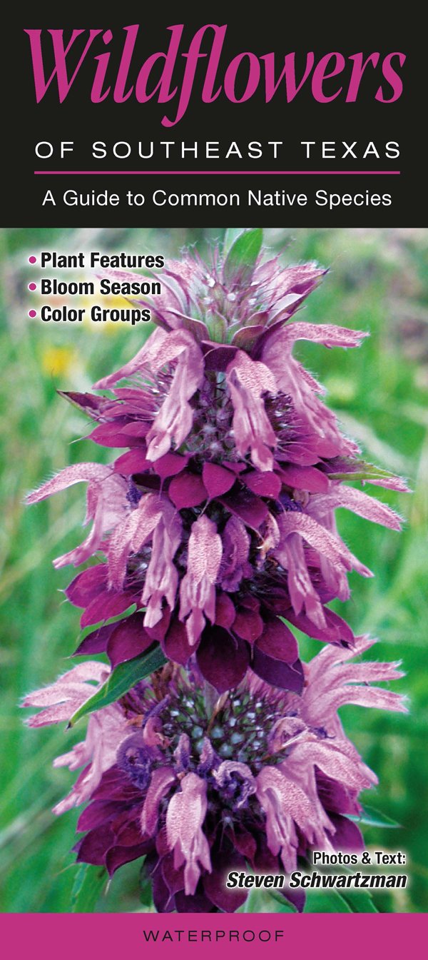 Wildflowers of Southeast Texas: A Guide to Common Native Species (Quick Reference Guides)