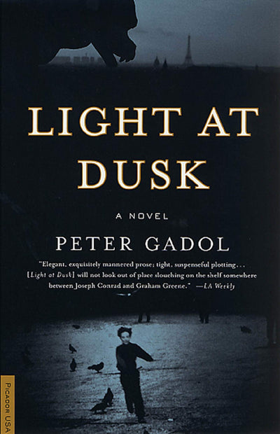 Light at Dusk: A Novel