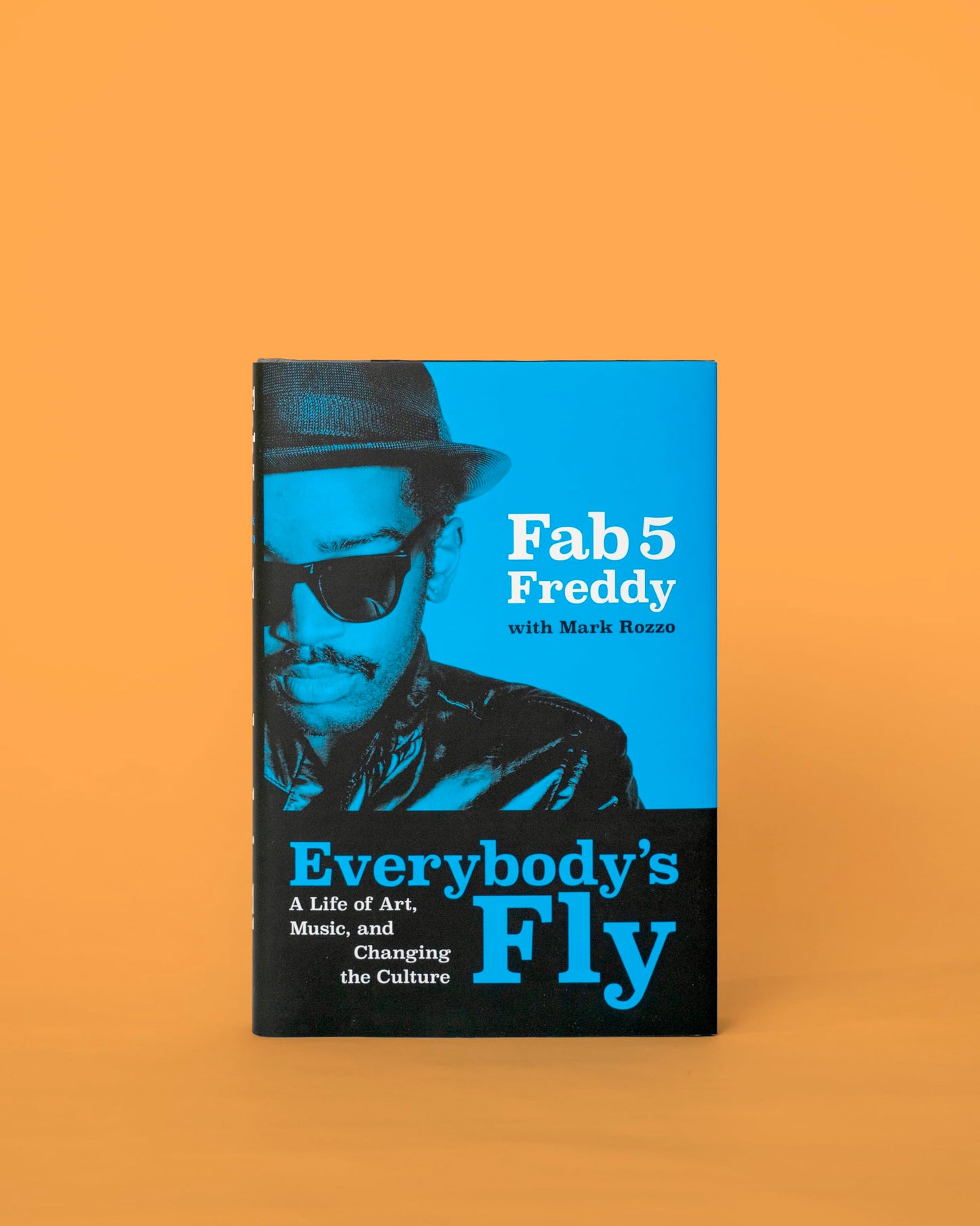 Everybody's Fly: A Life of Art, Music, and Changing the Culture