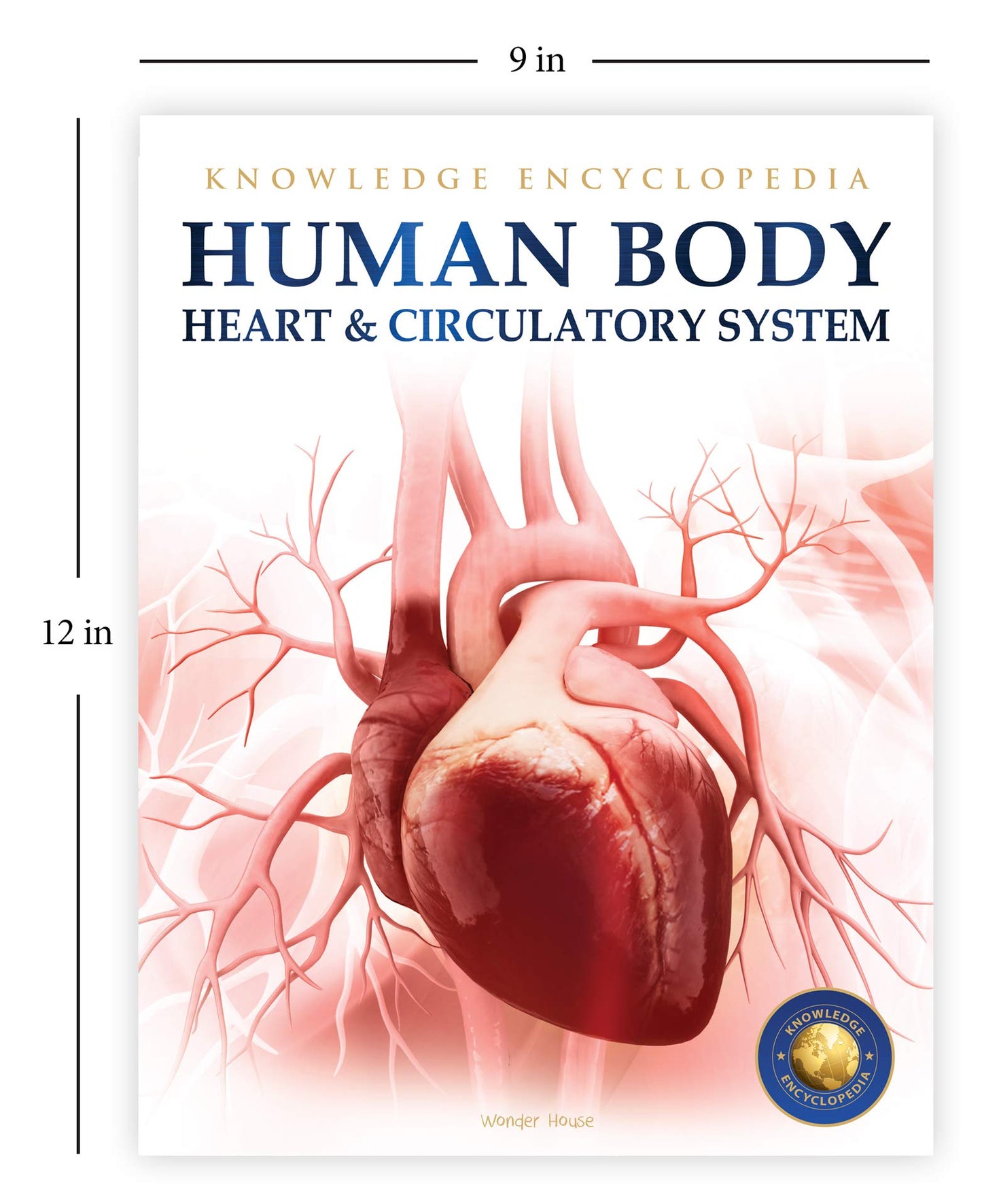 Human Body - Heart And Circulatory System: Knowledge Encyclopedia For Children