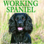 Training the Working Spaniel