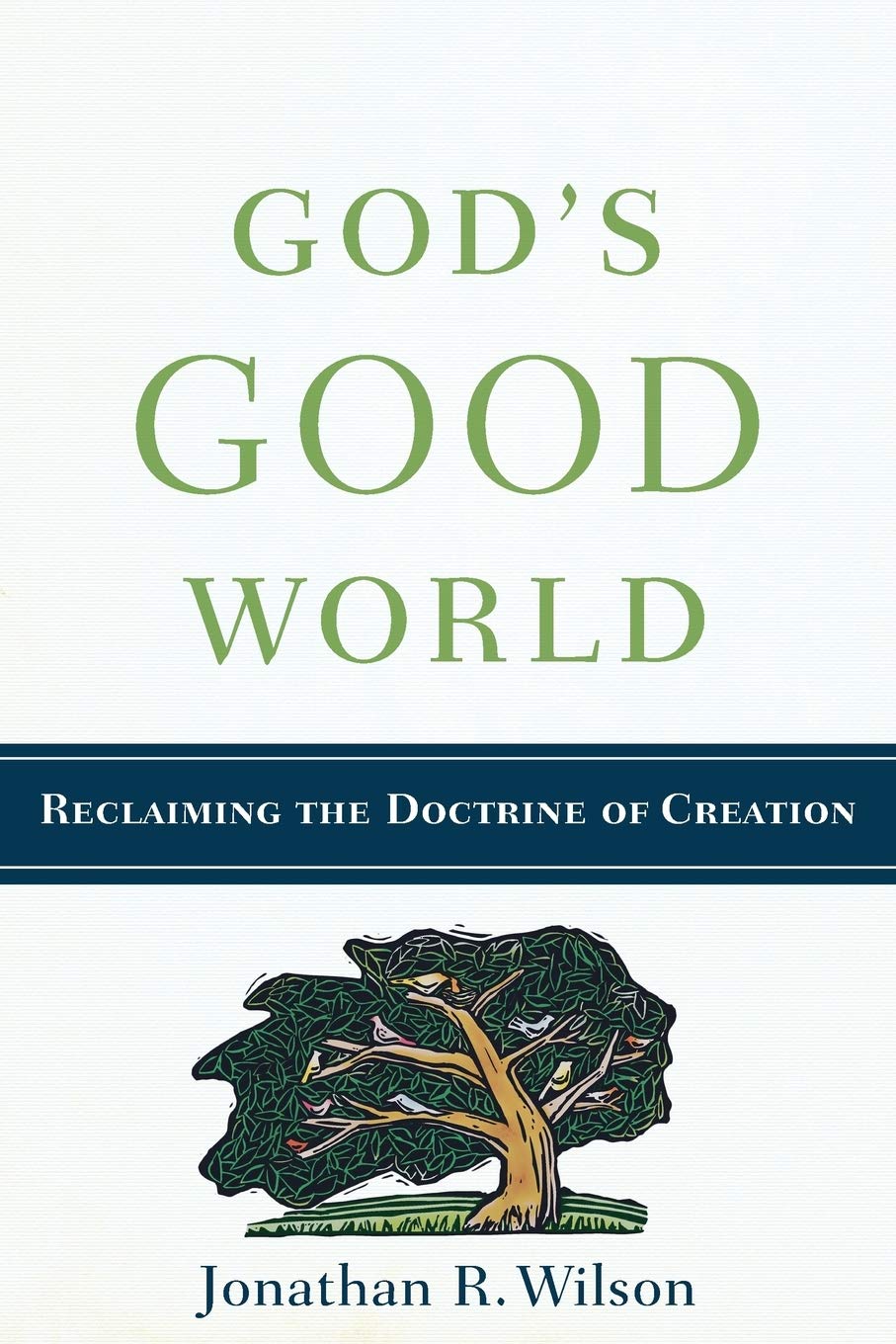 God's Good World: Reclaiming the Doctrine of Creation