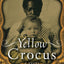 Yellow Crocus