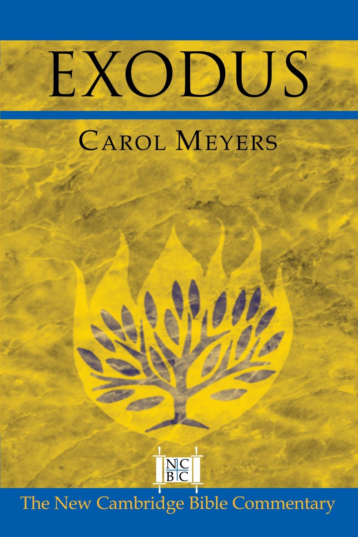 Exodus (New Cambridge Bible Commentary)
