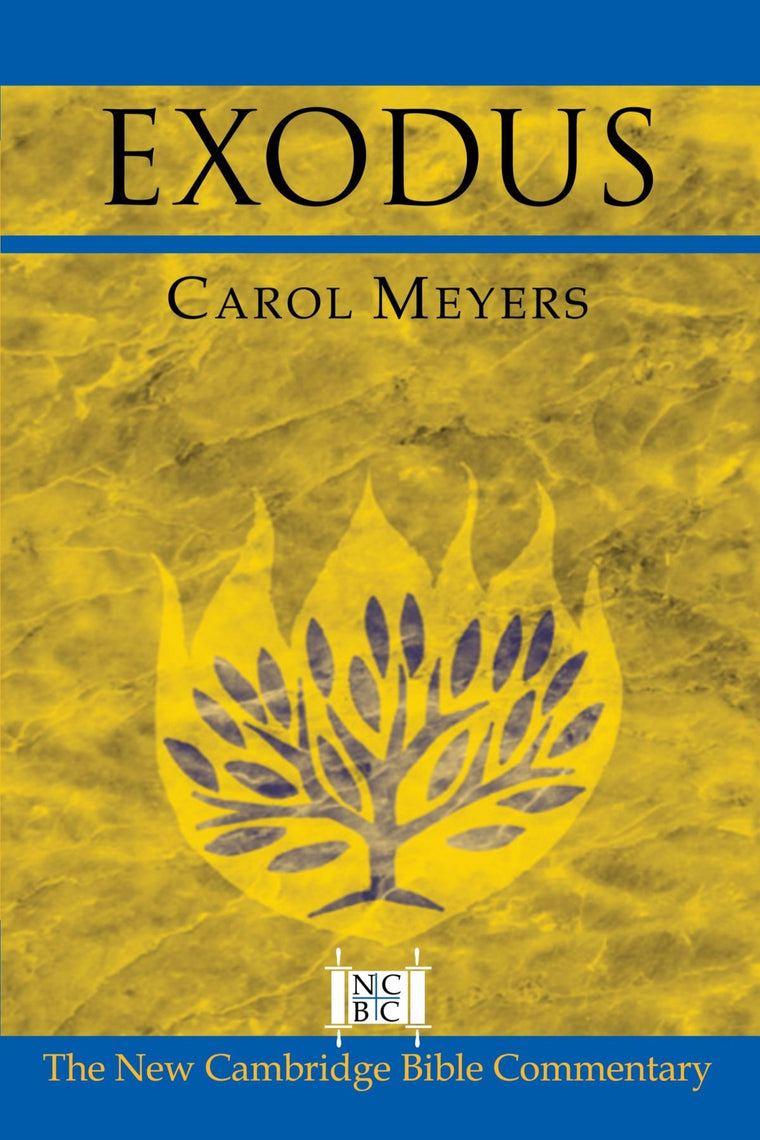 Exodus (New Cambridge Bible Commentary)