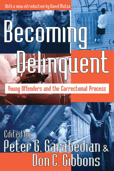 Becoming Delinquent: Young Offenders and the Correctional Process