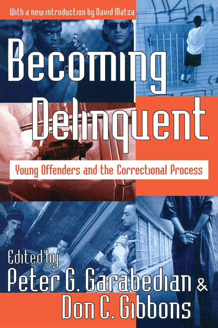 Becoming Delinquent: Young Offenders and the Correctional Process