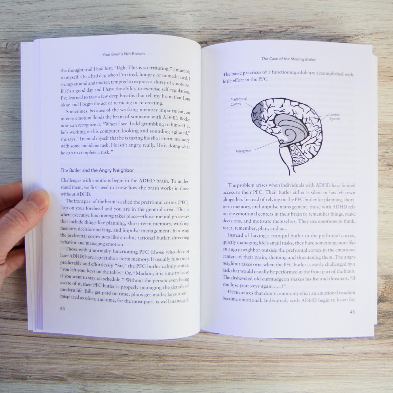 Your Brain's Not Broken: Strategies for Navigating Your Emotions and Life with ADHD  Guide & Workbook for Neurodivergent Adult Men & Women  Tools for Parenting ADD Children