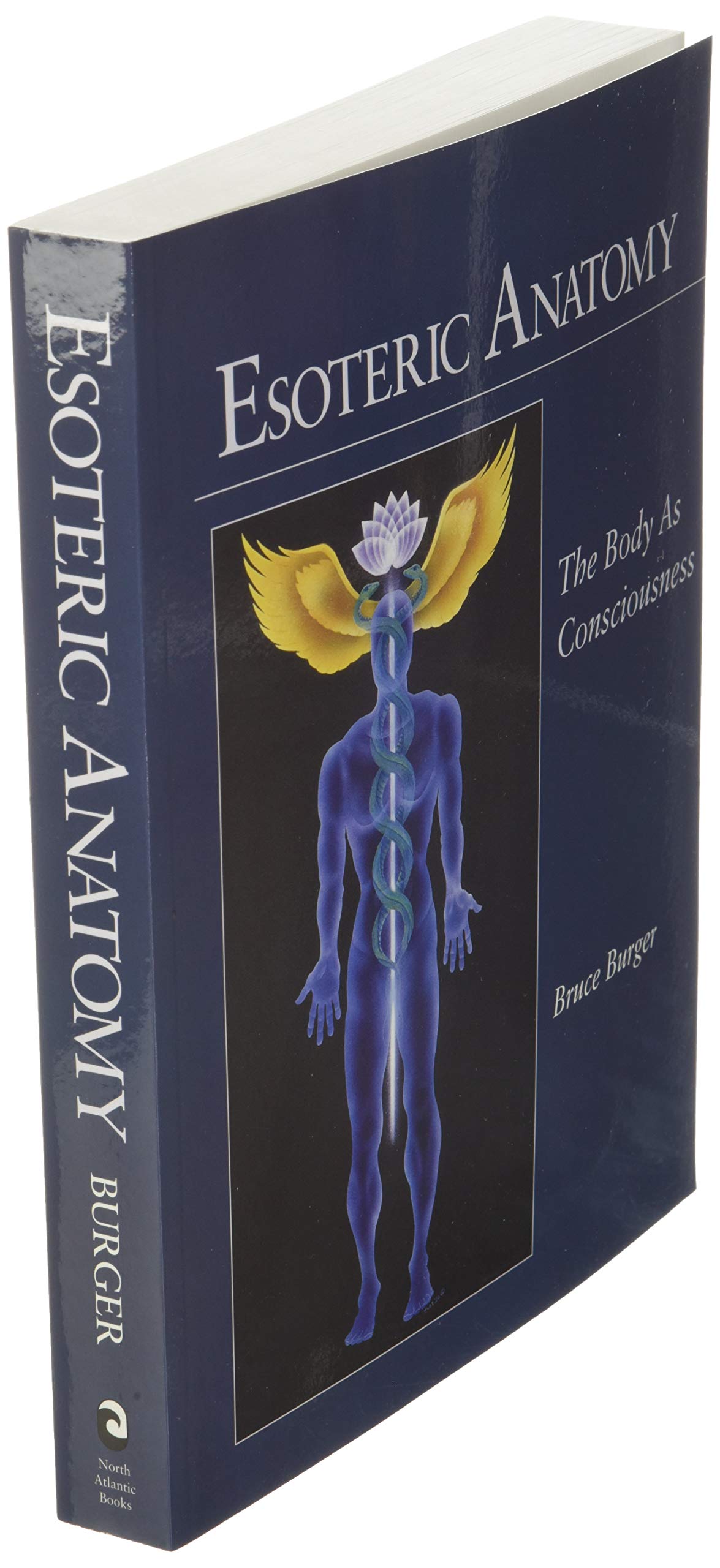 Esoteric Anatomy: The Body as Consciousness