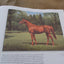 Crown Jewels of Thoroughbred Racing: Original Paintings