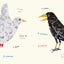 Birds (Multilingual Board Book) (Words of the World Series)