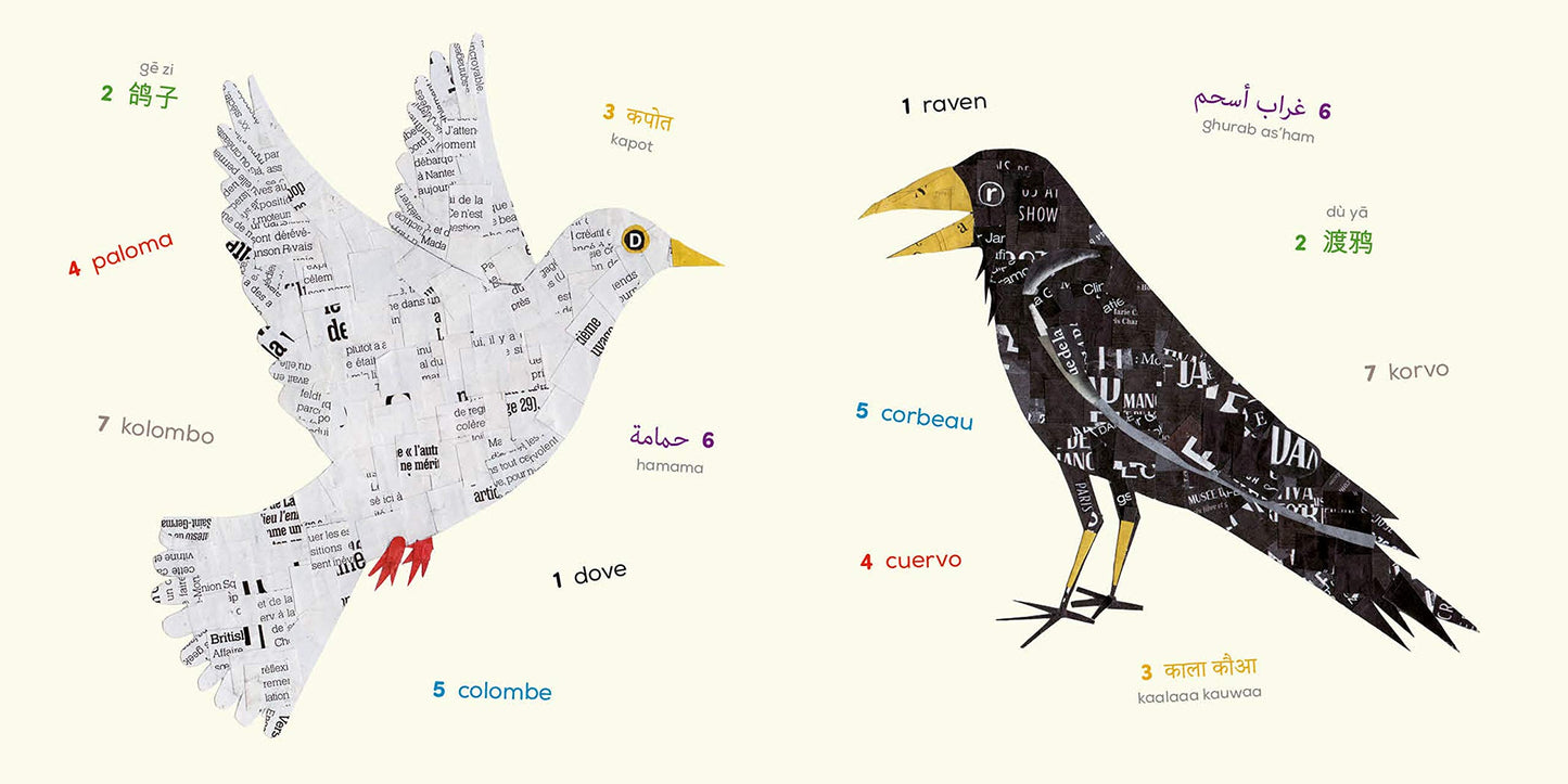 Birds (Multilingual Board Book) (Words of the World Series)