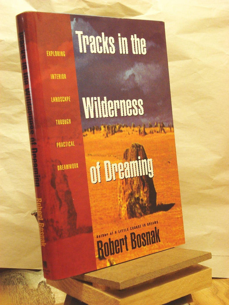 Tracks in the Wilderness of Dreaming by Robert Bosnak