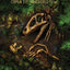 Primitive War by Pettus, Ethan (Paperback)