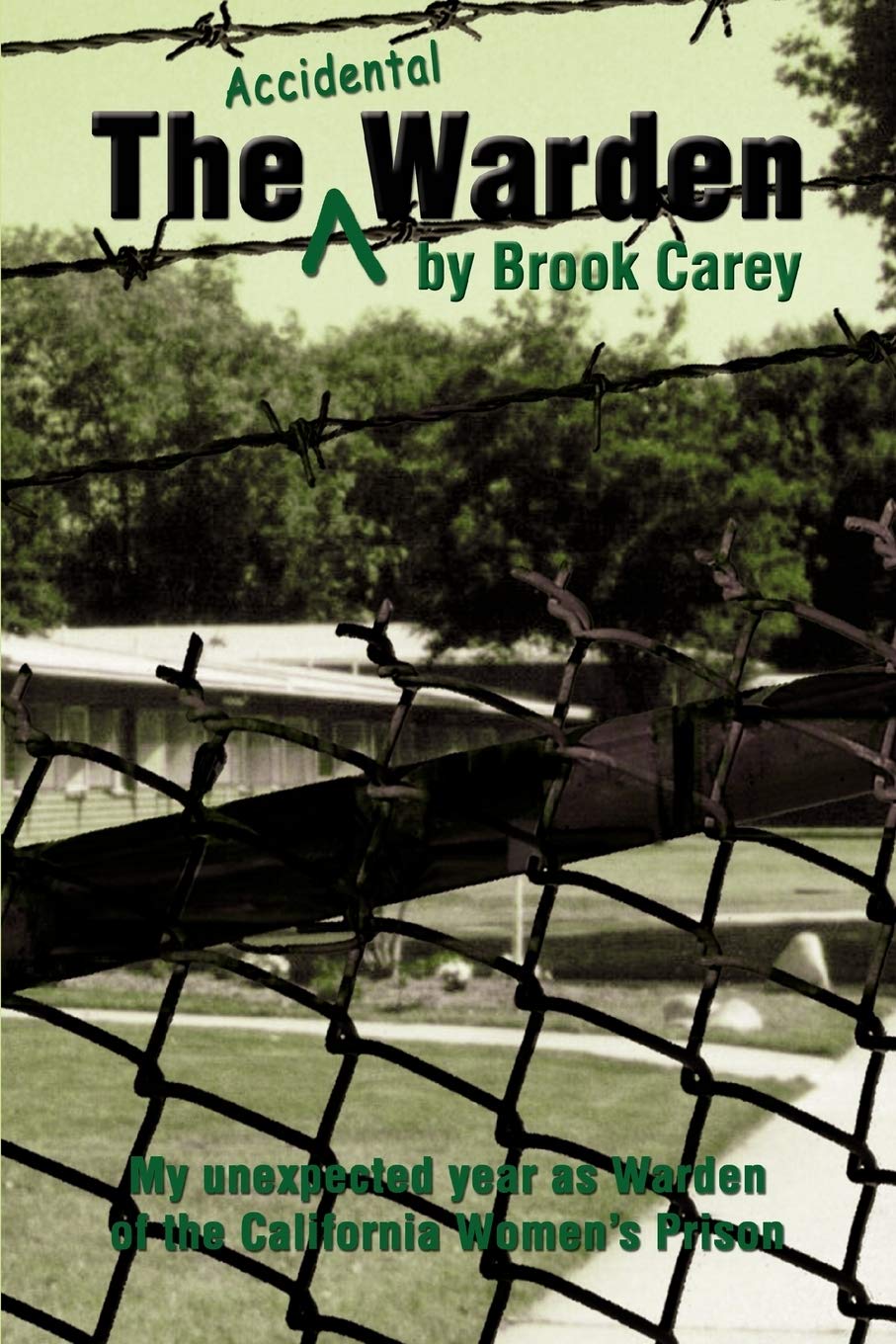 The Accidental Warden: My unexpected year as Warden of the California Women's Prison