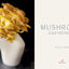 Mushroom Gastronomy: The Art of Cooking with Mushrooms